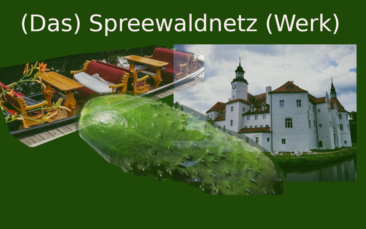 Spreewald Netz – Das Spreewald Netzwerk